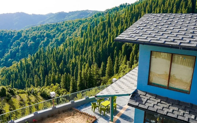 The Himalayan Deodar