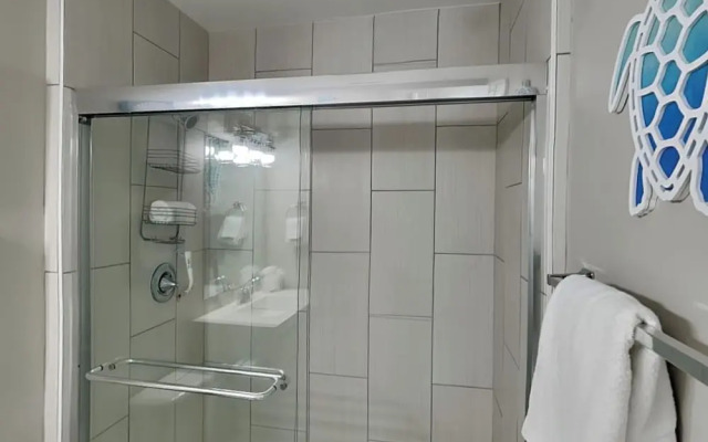 Red127- The Blue Heron