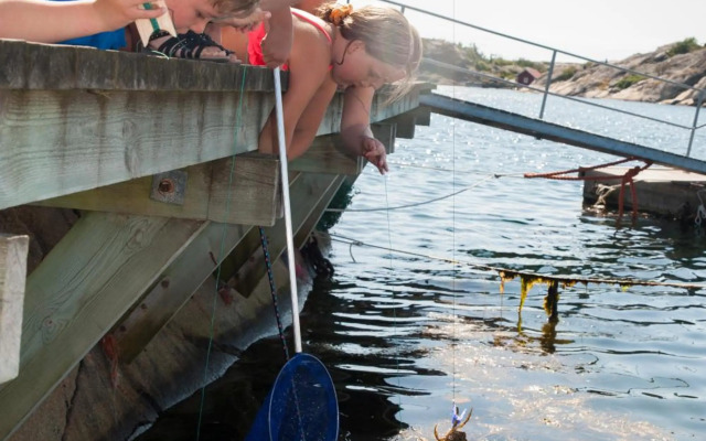 Saltviks Stugby & Camping