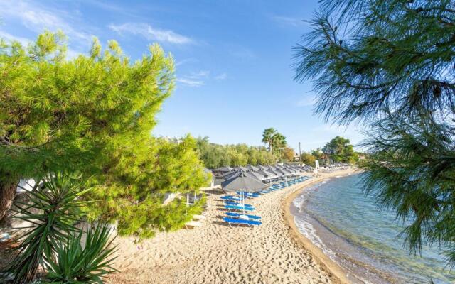 Paradisos Holiday
