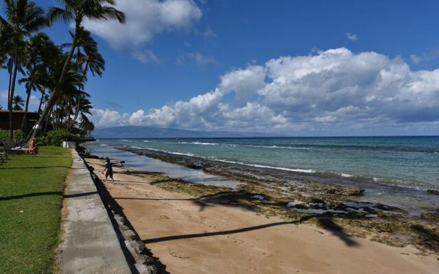 Paki Maui 415 by RedAwning