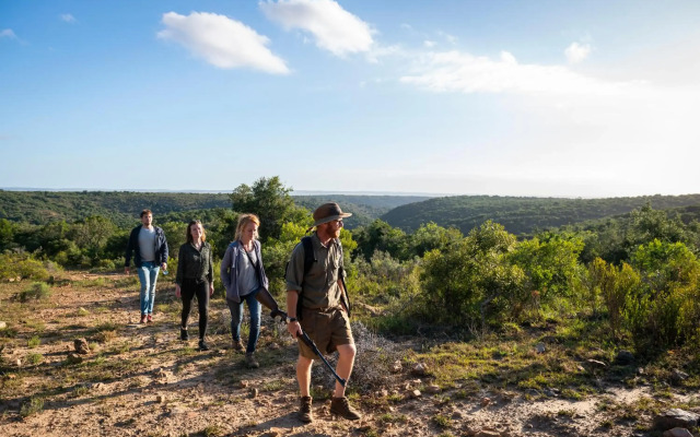 Elephants Lodge - Bellevue Forest Reserve