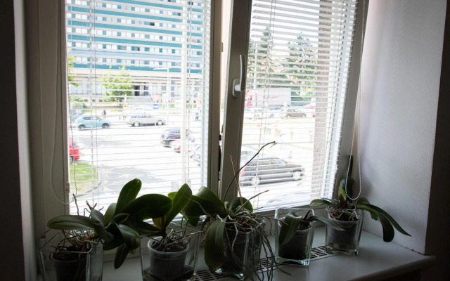 Apartment Poruba *Free Wifi*