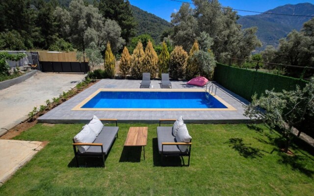 Villa With Private Pool Surrounded by Olive Trees