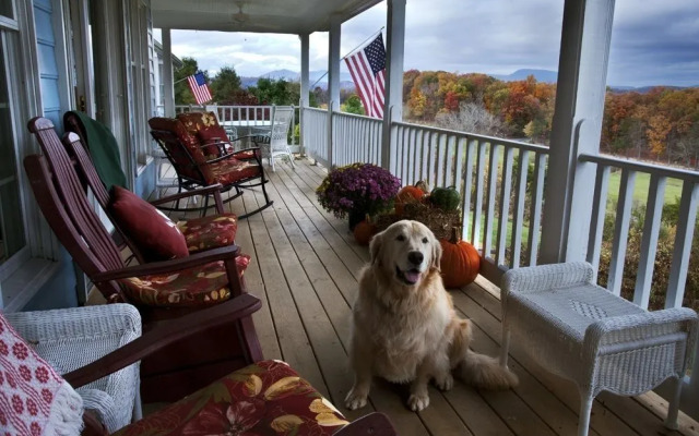 Inn at Brierley Hill