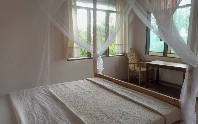 Little Monkey Camp