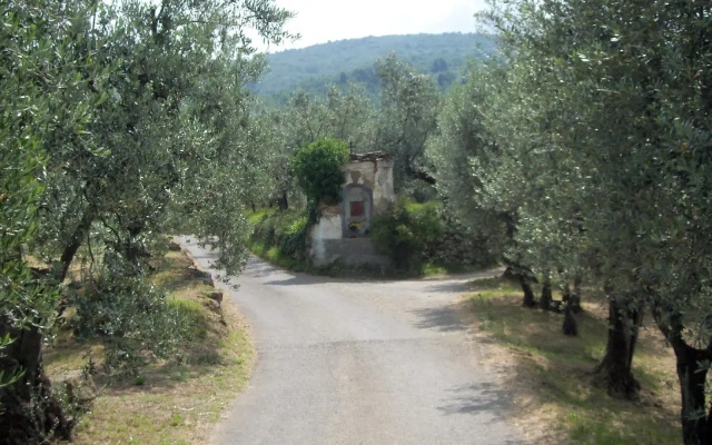 Agriturismo Il Colle