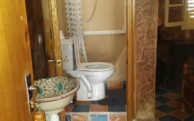 Complexe Collier D'Ambre