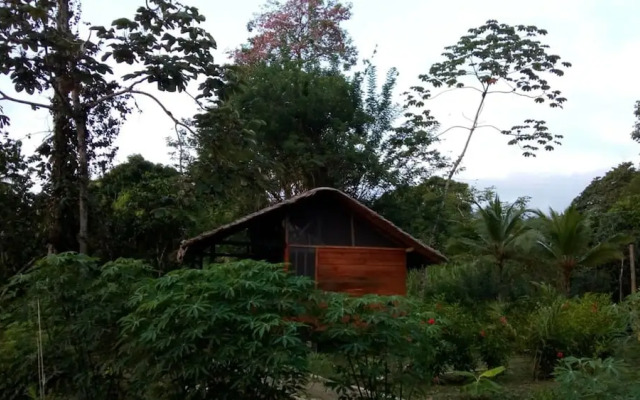 Rio Mar Bahía Solano Choco Colombia