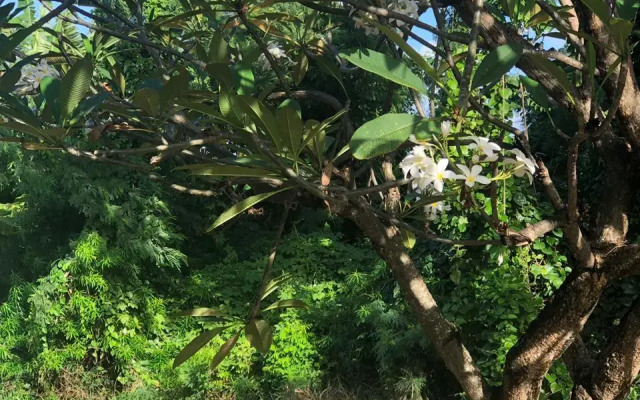 Pousada Boldro Home