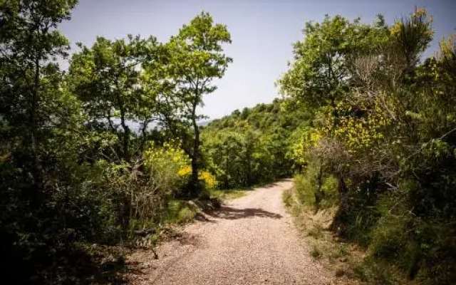 Borgo Al Teto La Vite