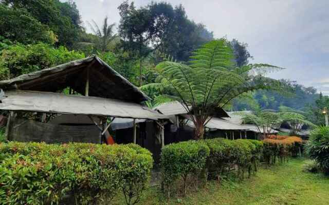 Herman Lantang Camp