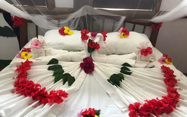 Cotton Tree Lodge