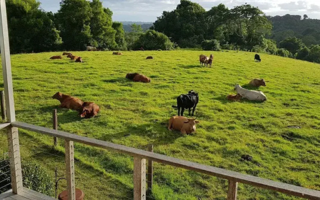 Seasons of Maleny B&B