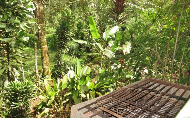 Mindo Eco chalet