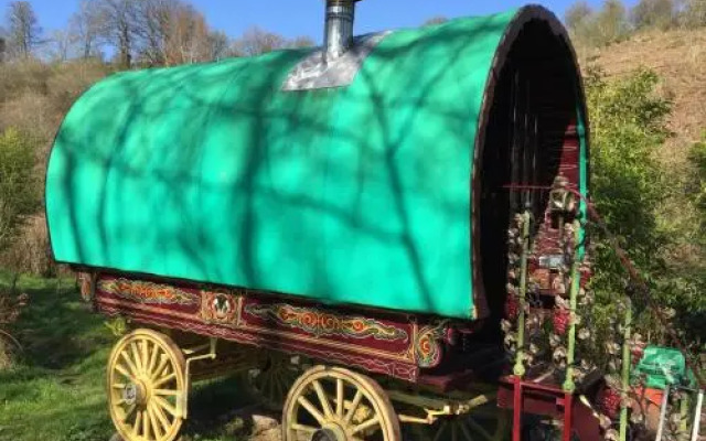 Wriggles Brook Gypsy Wagons