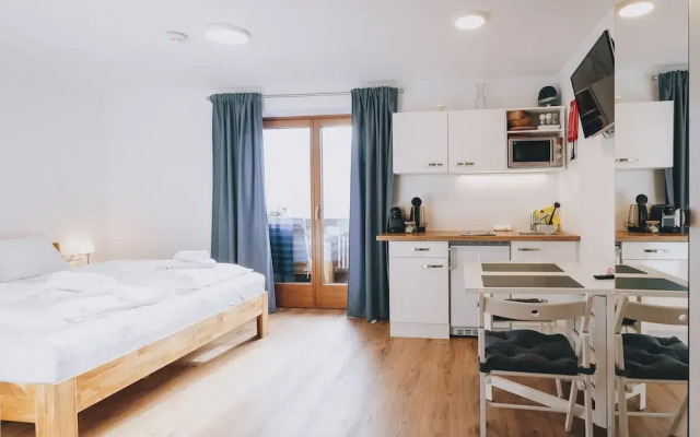 Apartments Haus Altenberger 1 Studio