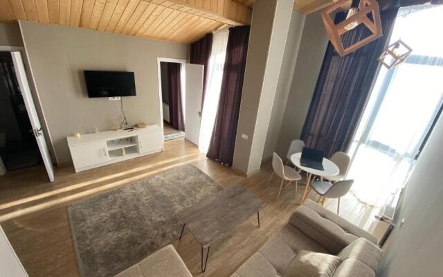Gudauri Winter House