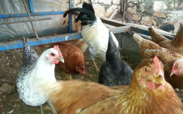 Beymelek Taş Evler