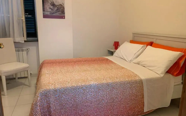 Miss Emily Vesuvio B&B