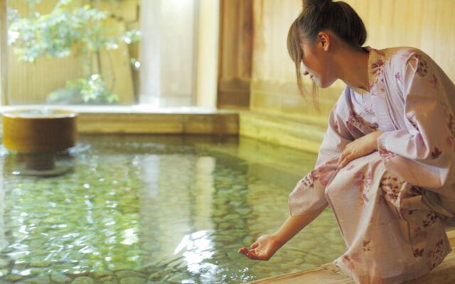 Fujiya Ryokan