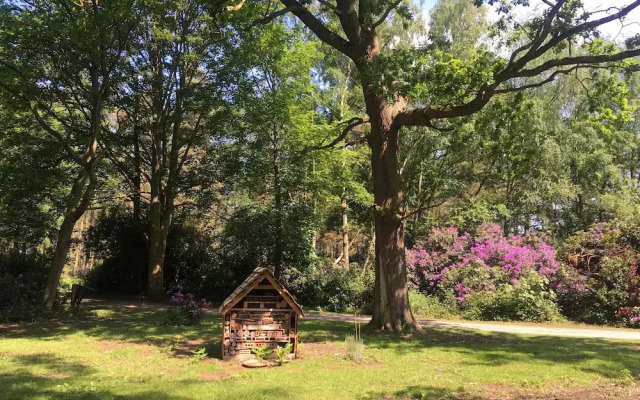 Hollicarrs - Honeycomb Lodge