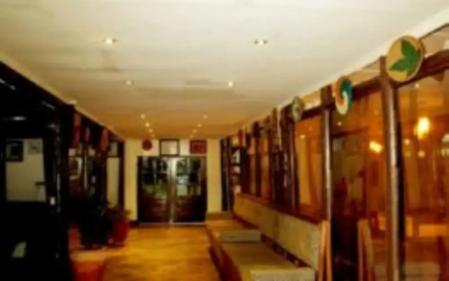 Da Vinci Gorilla Lodge