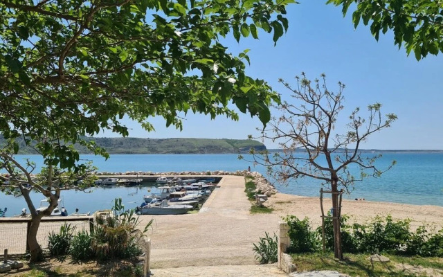Kamp Miočić