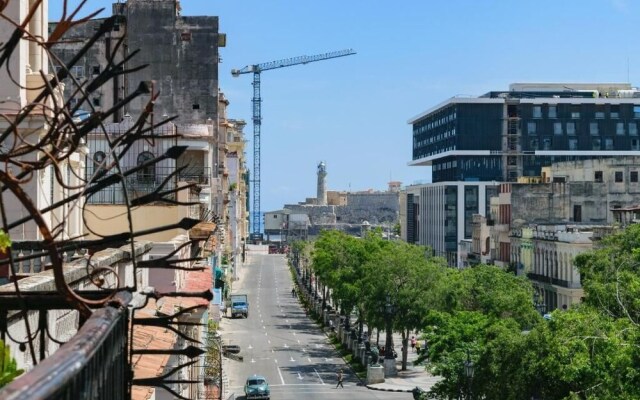 La Terraza del Prado