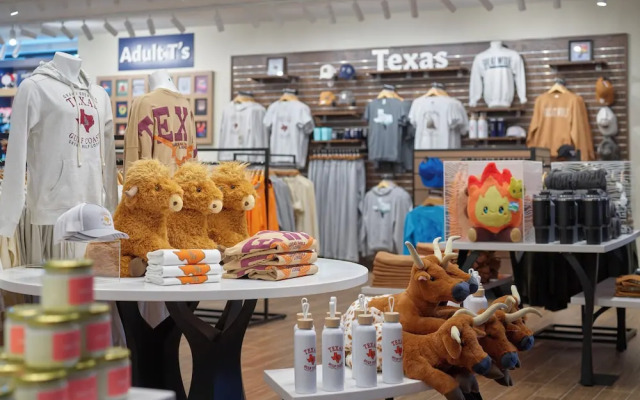 Great Wolf Lodge Webster