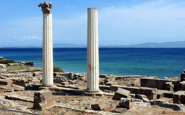 L'araucaria Guest House