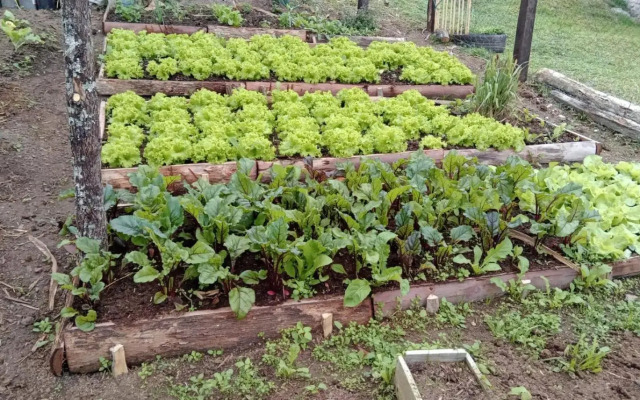 Rancho Pedra do Picú