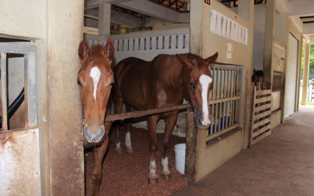 Terengganu Equestrian Resort