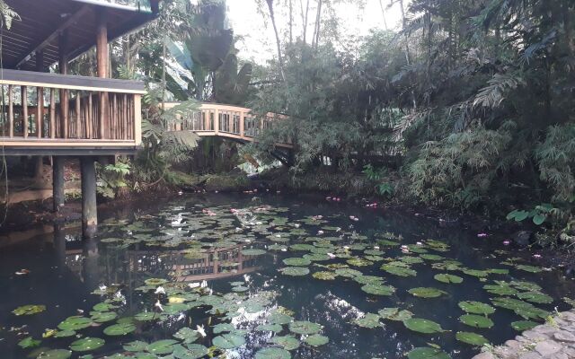 Rainforest Eco Lodge