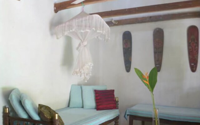 The Jungle House