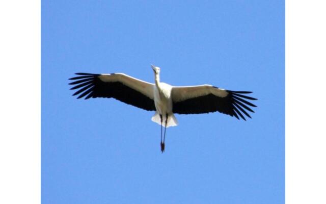 Pure Hotel - Vacation STAY 44185v