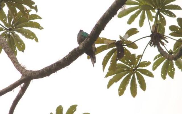 Ranchitos del Quetzal - Parque Ecológico Gucumatz