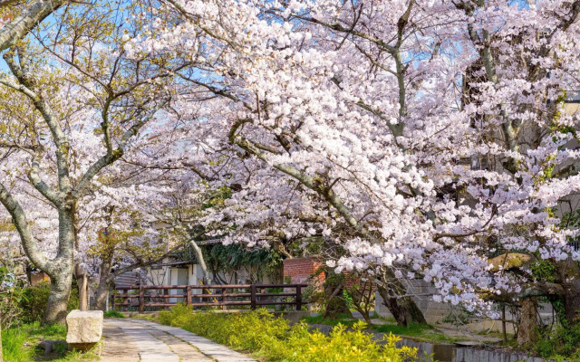 Kyoto - House / Vacation STAY 3816