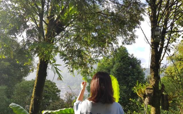 Sapa Jungle Pub  Homestay