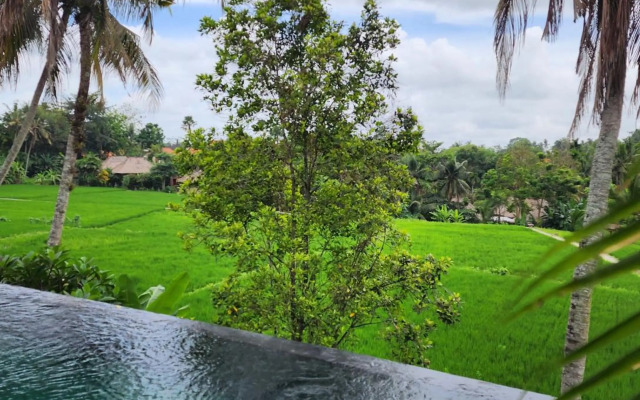 Motama Villa