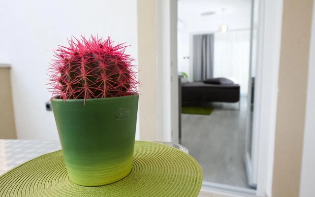 Studio Apartment White