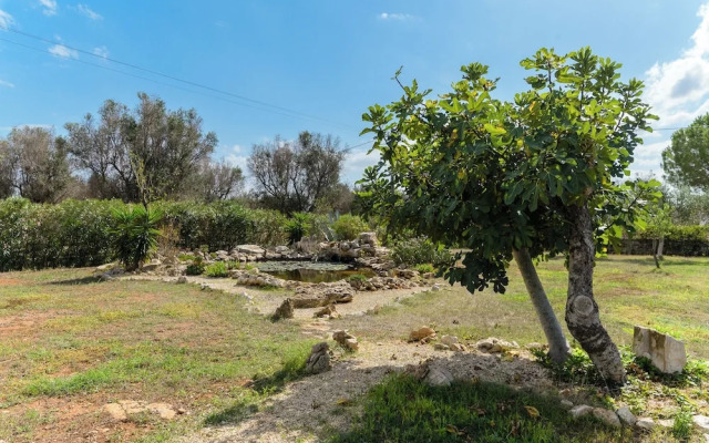 Villa Alexander & Pool Wonderful Italy