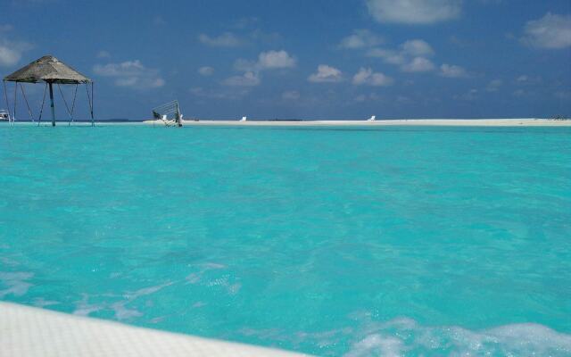 Maldives Dive Loabi