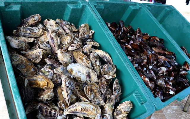 Curta Praia de Armação - Casa Coqueiro