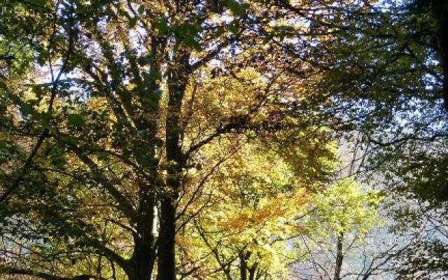 Haus Wald-Eck