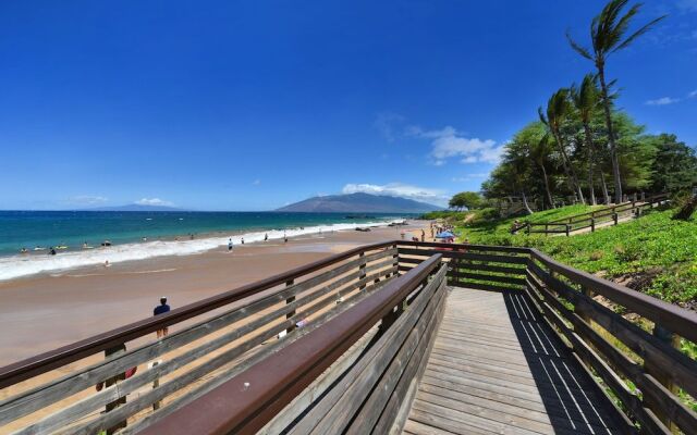 Maui Banyan Q204 by RedAwning