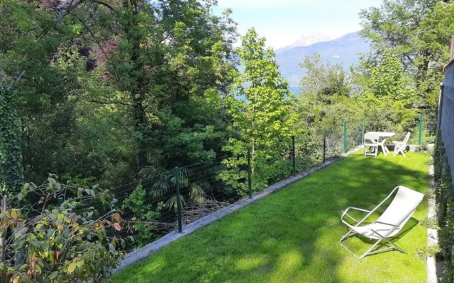 The Ivy House in the Castle