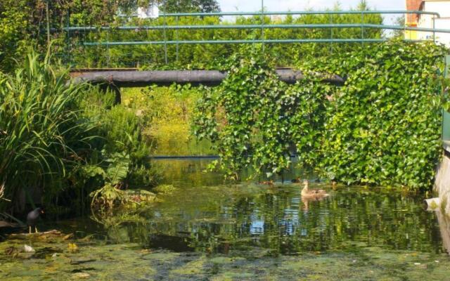 Gîte Saint-Omer, 4 Pièces, 7 Personnes - Fr-1-376-72