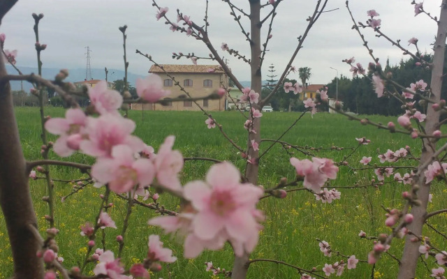 Tenuta Tre Terzi