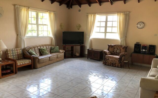 Palm Paradise Guest House and 2 Apartments